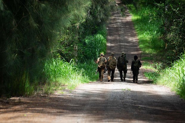 Hawaii Army Ranges Training by Foreign Troops Increasing in Hawaii at Army Ranges - Combat ...