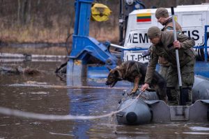 A search and rescue dog from the Estonian Defense Force