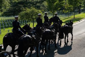 Caisson's reintegration into funeral services in Arlington National Ceremony
