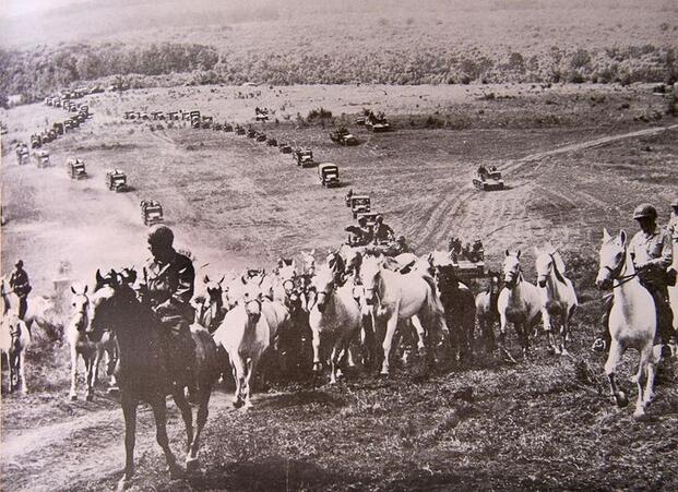 Operation Cowboy: When U.S. Cavalry and Germans Fought Together in WWII to Save 1,200 Horses from the Soviets