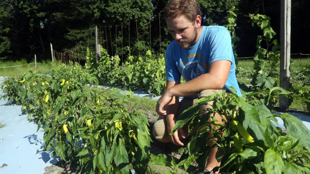 $100,000 Donation Expands Grants for Veterans Starting Farming Businesses